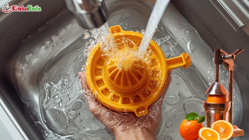 How to Clean a Citrus Juicer Fast