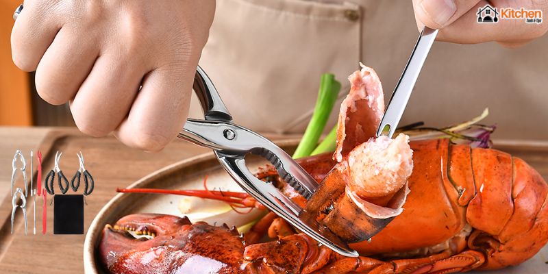 Best Crab Leg Tools