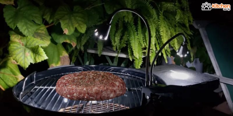 Best Grill Lights