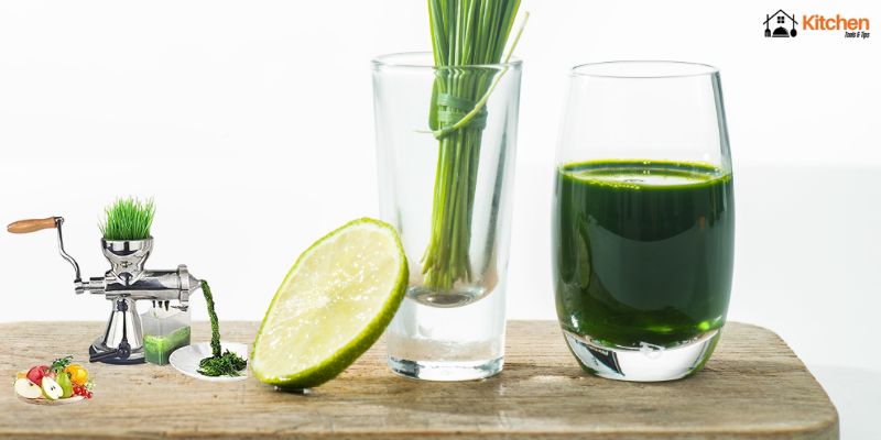 Best Juicers for Kale and Wheatgrass